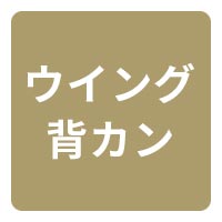 背負いやすい ウイング背カン