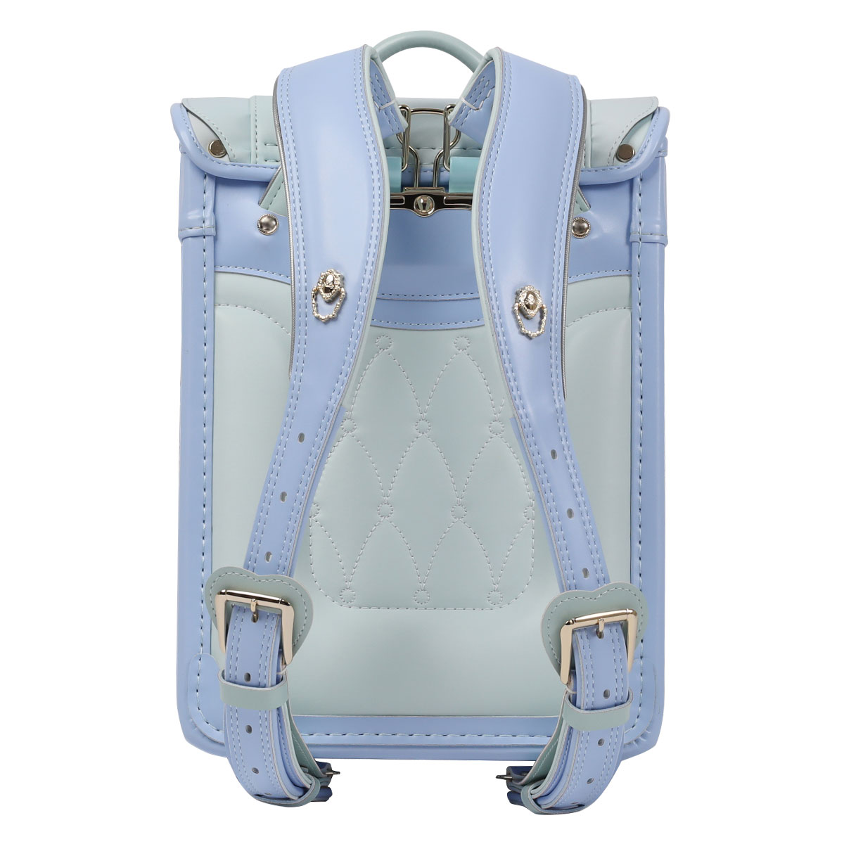 26_airynemophila_back